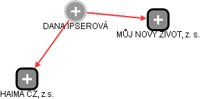 DANA IPSEROVÁ - Vizualizace  propojení osoby a firem v obchodním rejstříku