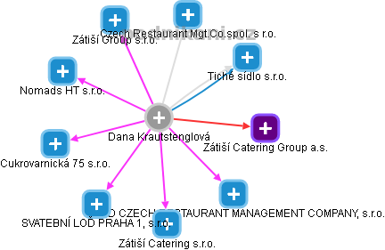 Dana Krautstenglová - Vizualizace  propojení osoby a firem v obchodním rejstříku