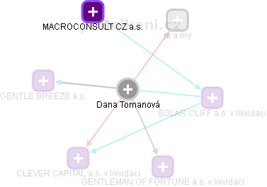 Dana Tomanová - Vizualizace  propojení osoby a firem v obchodním rejstříku