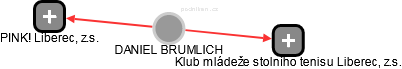  Brumlich D. - Vizualizace  propojení osoby a firem v obchodním rejstříku