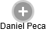 Daniel Peca - Vizualizace  propojení osoby a firem v obchodním rejstříku