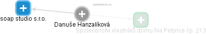 Danuše Hanzalíková - Vizualizace  propojení osoby a firem v obchodním rejstříku