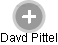Davd Pittel - Vizualizace  propojení osoby a firem v obchodním rejstříku