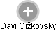 Davi Čížkovský - Vizualizace  propojení osoby a firem v obchodním rejstříku