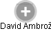  David A. - Vizualizace  propojení osoby a firem v obchodním rejstříku