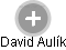 David Aulík - Vizualizace  propojení osoby a firem v obchodním rejstříku