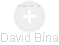 David Bína - Vizualizace  propojení osoby a firem v obchodním rejstříku