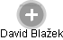 David Blažek - Vizualizace  propojení osoby a firem v obchodním rejstříku