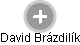 David Brázdilík - Vizualizace  propojení osoby a firem v obchodním rejstříku