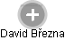 David Března - Vizualizace  propojení osoby a firem v obchodním rejstříku