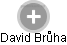 David Brůha - Vizualizace  propojení osoby a firem v obchodním rejstříku