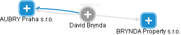 David Brynda - Vizualizace  propojení osoby a firem v obchodním rejstříku