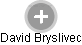David Bryslivec - Vizualizace  propojení osoby a firem v obchodním rejstříku