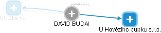 DAVID BUDAI - Vizualizace  propojení osoby a firem v obchodním rejstříku
