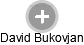 David Bukovjan - Vizualizace  propojení osoby a firem v obchodním rejstříku