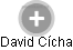 David Cícha - Vizualizace  propojení osoby a firem v obchodním rejstříku