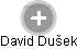 David Dušek - Vizualizace  propojení osoby a firem v obchodním rejstříku