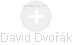 David Dvořák - Vizualizace  propojení osoby a firem v obchodním rejstříku