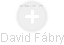 David Fábry - Vizualizace  propojení osoby a firem v obchodním rejstříku