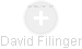 David Filinger - Vizualizace  propojení osoby a firem v obchodním rejstříku