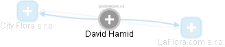 David Hamid - Vizualizace  propojení osoby a firem v obchodním rejstříku