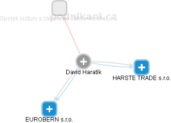 David Haratík - Vizualizace  propojení osoby a firem v obchodním rejstříku
