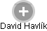 David Havlík - Vizualizace  propojení osoby a firem v obchodním rejstříku