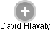 David Hlavatý - Vizualizace  propojení osoby a firem v obchodním rejstříku