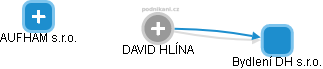 DAVID HLÍNA - Vizualizace  propojení osoby a firem v obchodním rejstříku