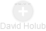 David Holub - Vizualizace  propojení osoby a firem v obchodním rejstříku