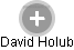 David Holub - Vizualizace  propojení osoby a firem v obchodním rejstříku
