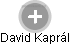 David Kaprál - Vizualizace  propojení osoby a firem v obchodním rejstříku