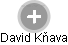 David Kňava - Vizualizace  propojení osoby a firem v obchodním rejstříku