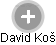 David Koš - Vizualizace  propojení osoby a firem v obchodním rejstříku
