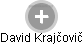 David Krajčovič - Vizualizace  propojení osoby a firem v obchodním rejstříku