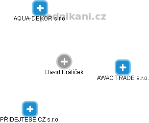 David Králíček - Vizualizace  propojení osoby a firem v obchodním rejstříku