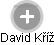 David Kříž - Vizualizace  propojení osoby a firem v obchodním rejstříku