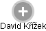 David Křížek - Vizualizace  propojení osoby a firem v obchodním rejstříku