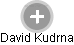 David Kudrna - Vizualizace  propojení osoby a firem v obchodním rejstříku