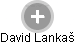 David Lankaš - Vizualizace  propojení osoby a firem v obchodním rejstříku