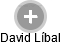 David Líbal - Vizualizace  propojení osoby a firem v obchodním rejstříku