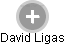 David Ligas - Vizualizace  propojení osoby a firem v obchodním rejstříku