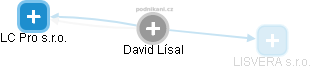 David Lísal - Vizualizace  propojení osoby a firem v obchodním rejstříku
