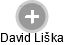  David L. - Vizualizace  propojení osoby a firem v obchodním rejstříku