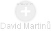 David Martinů - Vizualizace  propojení osoby a firem v obchodním rejstříku