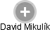 David Mikulík - Vizualizace  propojení osoby a firem v obchodním rejstříku