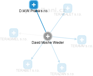 David Moshe Wieder - Vizualizace  propojení osoby a firem v obchodním rejstříku