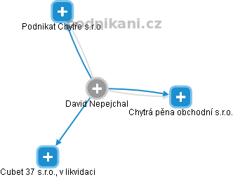David Nepejchal - Vizualizace  propojení osoby a firem v obchodním rejstříku