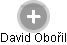 David Obořil - Vizualizace  propojení osoby a firem v obchodním rejstříku