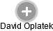 David Oplatek - Vizualizace  propojení osoby a firem v obchodním rejstříku